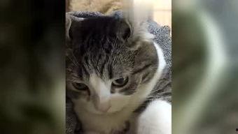 勇哥最新爆料,娱乐圈最新爆料大揭秘！